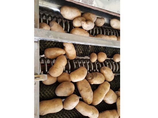 土豆清洗機