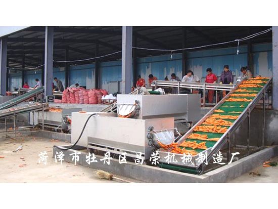 胡蘿卜清洗機(jī)