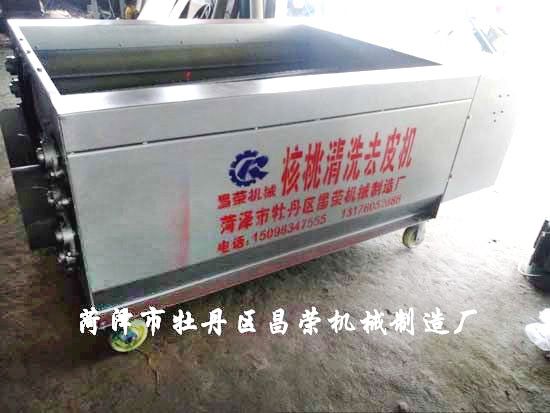 核桃清洗機(jī)
